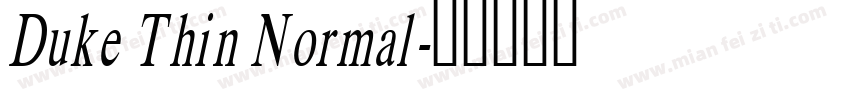 Duke Thin Normal字体转换